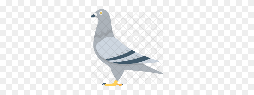 256x256 Premium Pigeon Icon Download Png - Pigeon PNG