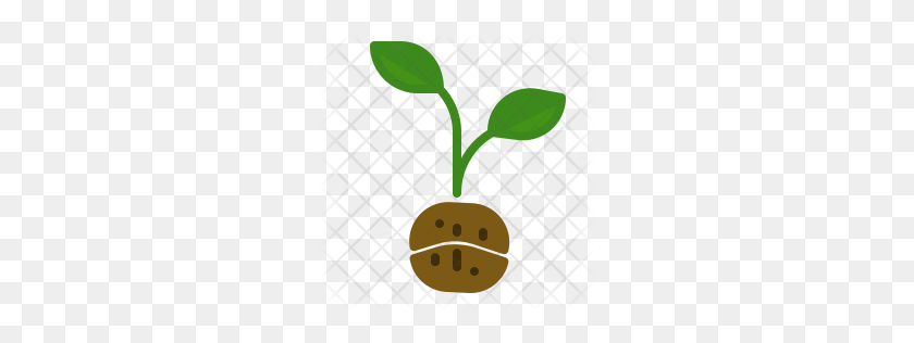 256x256 Premium Planting Coffee Icon Download Png - Coffee PNG