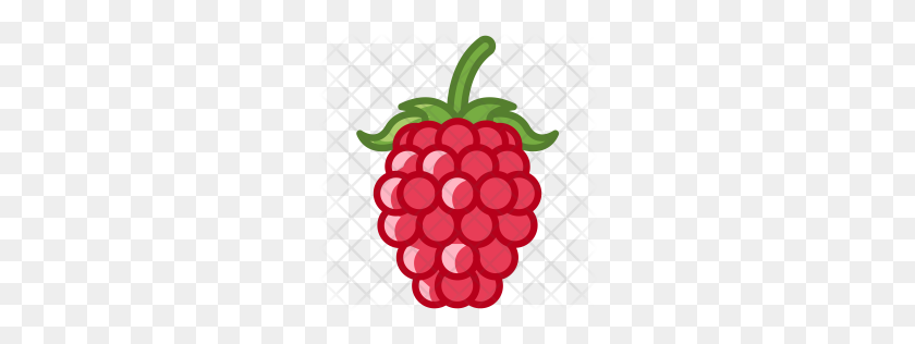 256x256 Premium Raspberry Icon Download Png - Raspberry PNG