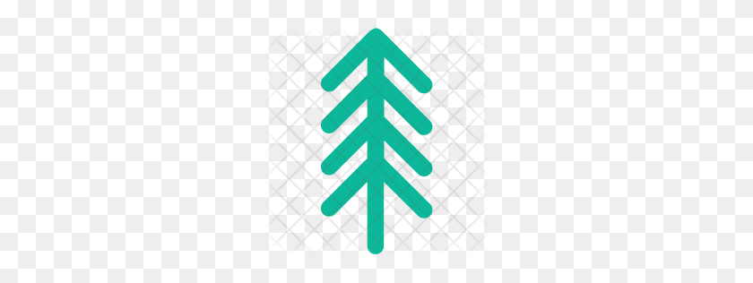 256x256 Premium Redwood Icon Descargar Png - Redwood Tree Png