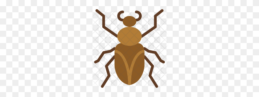 256x256 Premium Roach Icon Download Png - Roach PNG