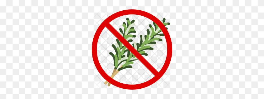 256x256 Premium Rosemary Icon Download Png - Rosemary PNG