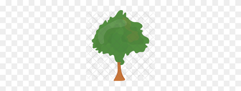 256x256 Premium Round Shaped Tree Icon Download Png - Topiary PNG