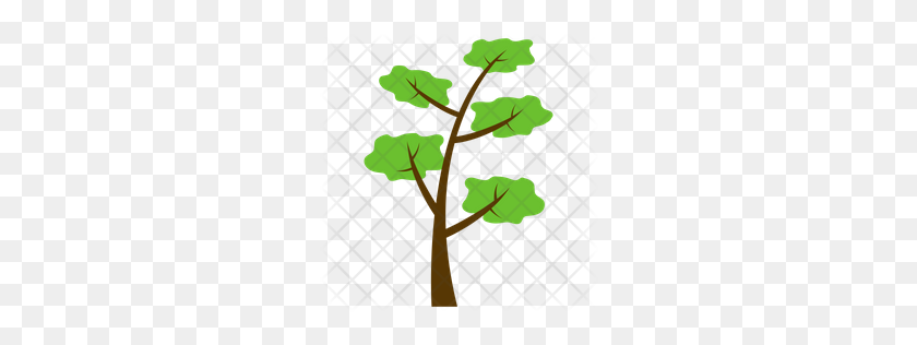 256x256 Premium Scots Pine Tree Icon Download Png - Pine Branch PNG