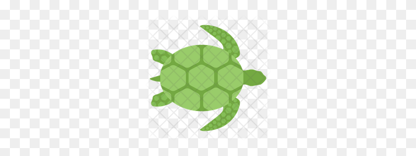 256x256 Premium Sea Turtle Icon Download Png - Sea Turtle PNG