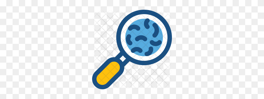 256x256 Premium Search Bacteria Icon Download Png - Bacteria PNG