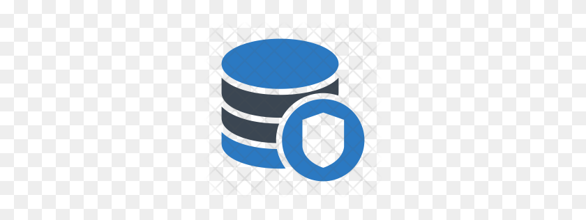256x256 Premium Secure Database Icon Download Png - Database Icon PNG