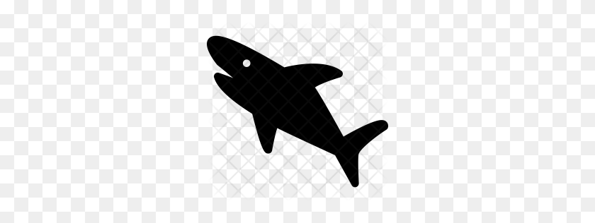 256x256 Значок Премиум Акула Скачать Png - Китовая Акула Png