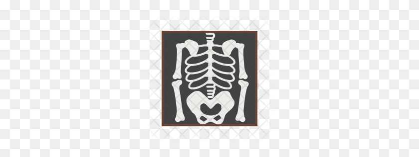 256x256 Premium Skeleton Icon Download Png - Skeleton PNG