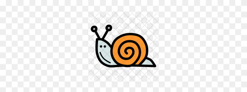 256x256 Premium Snail Icon Download Png - Snail PNG