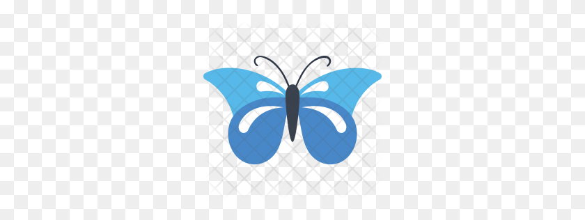 256x256 Premium Starry Night Cracker Butterfly Icon Download Png - Starry Night PNG
