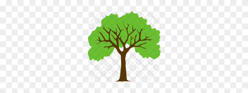 256x256 Premium Sycamore Tree Icon Download Png - Tree Trunk PNG
