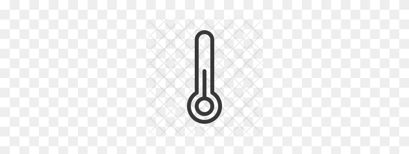 256x256 Premium Thermometer Icon Download Png - Thermometer PNG