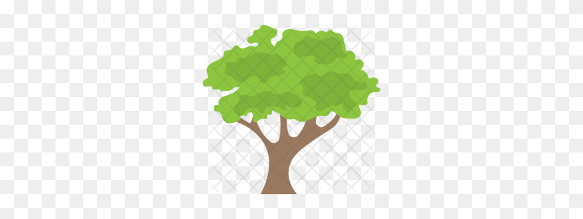 256x256 Premium Tree Icon Descargar Png - Icono De Árbol Png