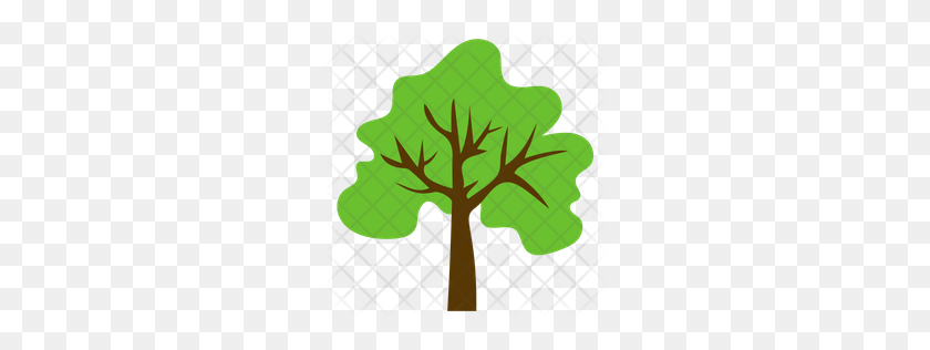 256x256 Premium Trees Flat Icons Icon Pack Download Png - Oak Tree PNG