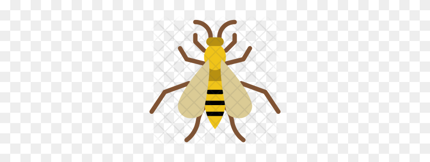 256x256 Premium Wasp Icon Download Png - Wasp PNG