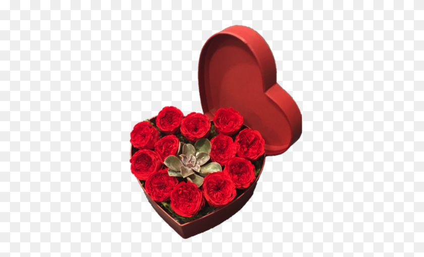 400x449 Preserved Red Rose Heart - Succulent PNG