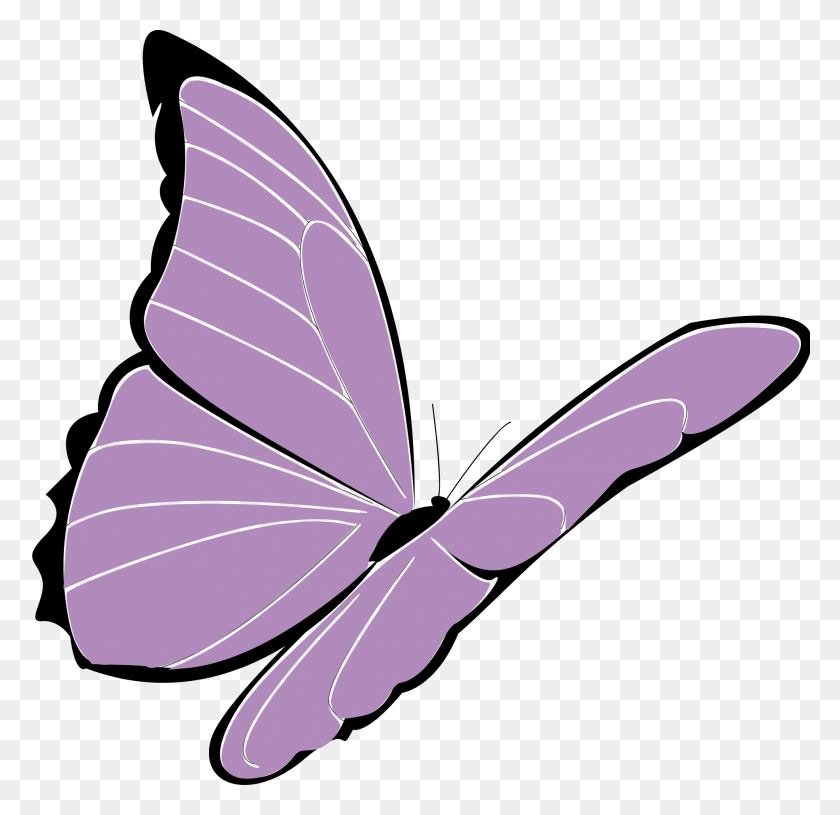 2000x1938 Presquesage Papillon Violet - Шалфей Клипарт