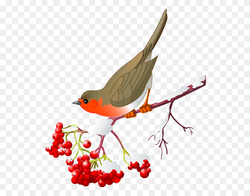 544x600 Pretty Bird Clipart - Bird On Branch Clip Art