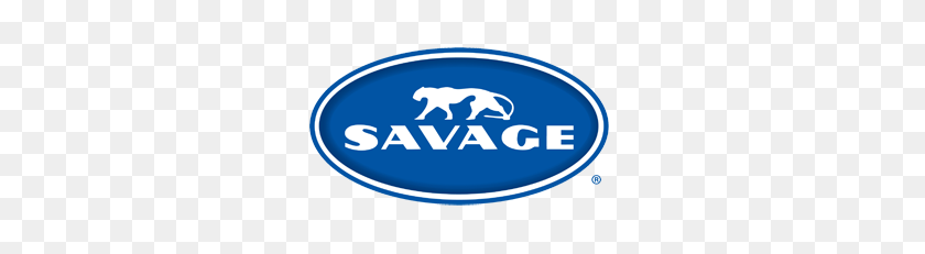 300x171 Printed Vinyl Backdrops Savage Universal - Pinterest Logo PNG Transparent Background