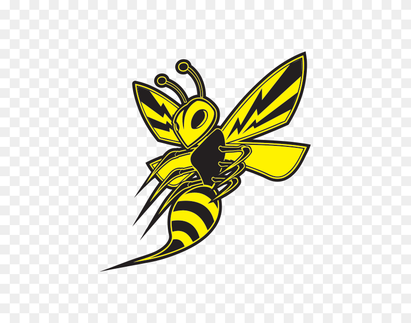 600x600 Printed Vinyl Bee, Hornet, Wasp, Vespa Fighter Stickers Factory - Hornet PNG