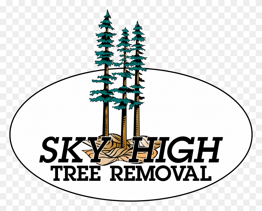 3739x2959 Политика Конфиденциальности Sky High Tree Removal - Tree Service Clip Art
