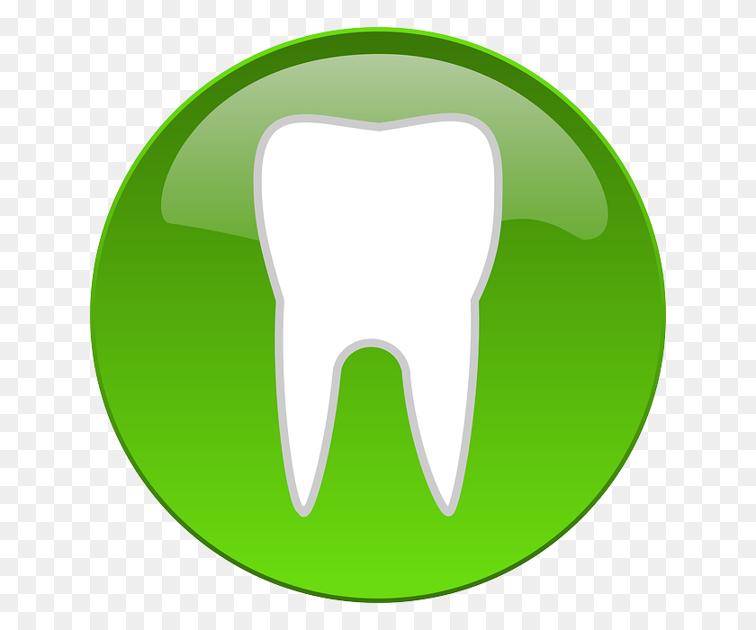 640x640 Private Health Insurance Dentistry - Health Insurance Clipart