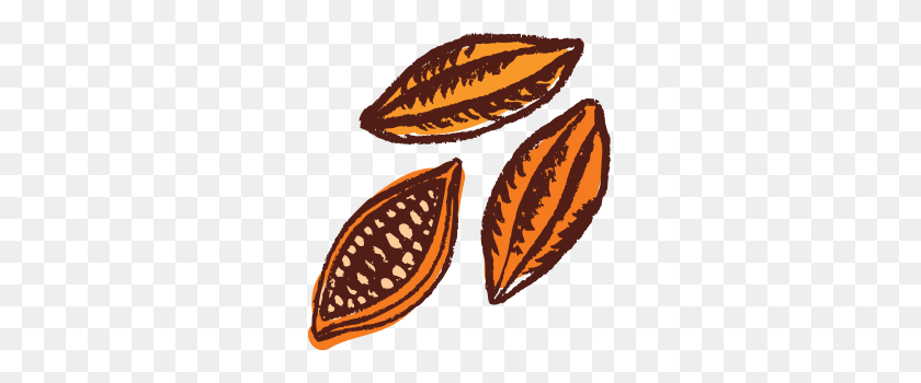 277x290 Proceso De - Cacao PNG
