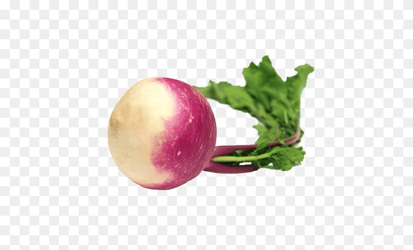 660x450 Product Grocery Sumo - Turnip PNG
