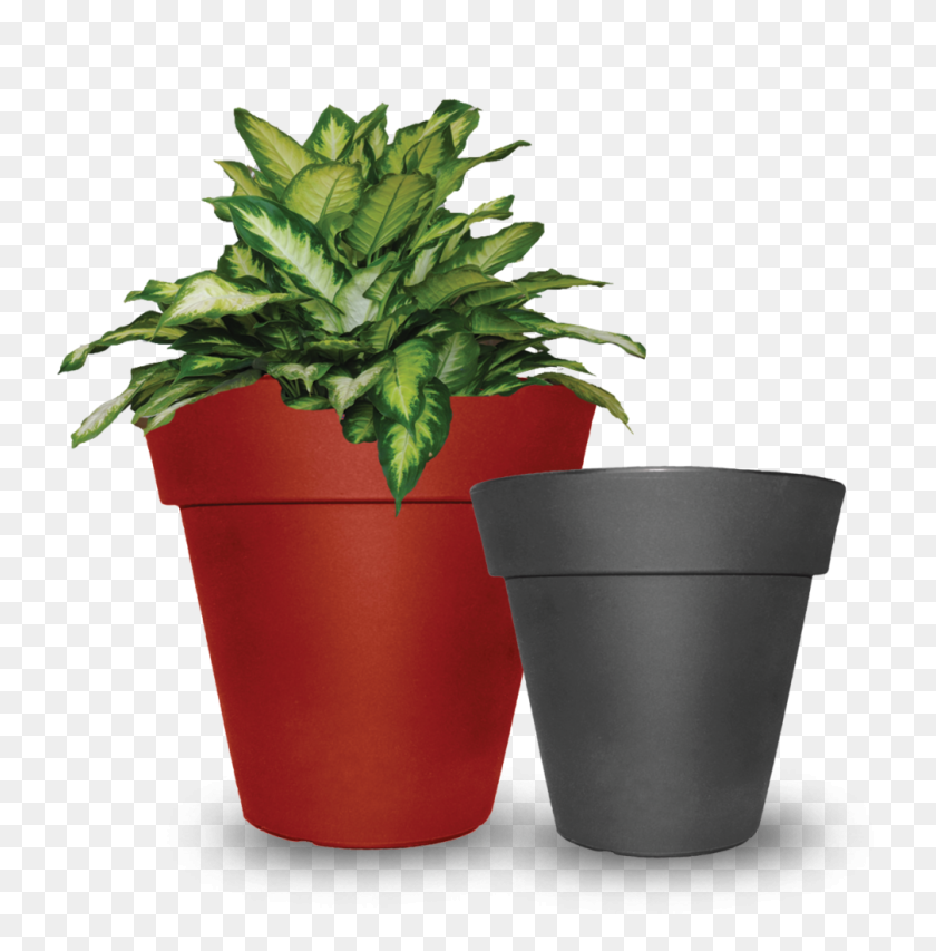 1006x1024 Products - Planter PNG