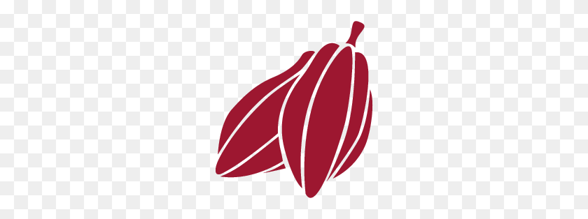 254x254 Products - Cacao PNG