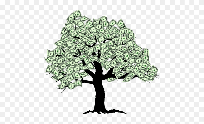 559x450 Products - Money Tree PNG