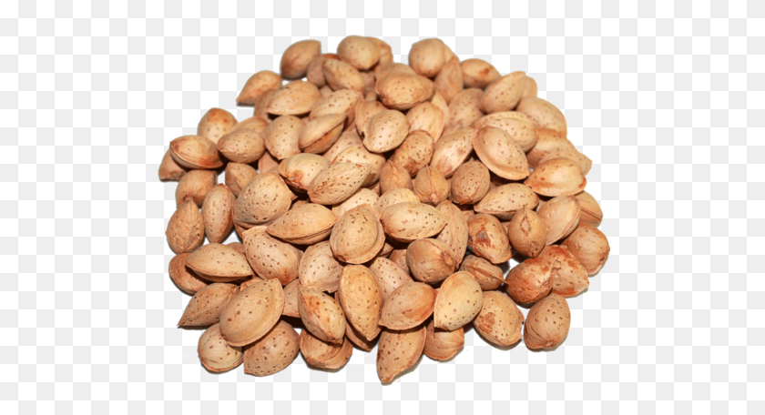 500x396 Products Services Retailer From Noida - Almonds PNG