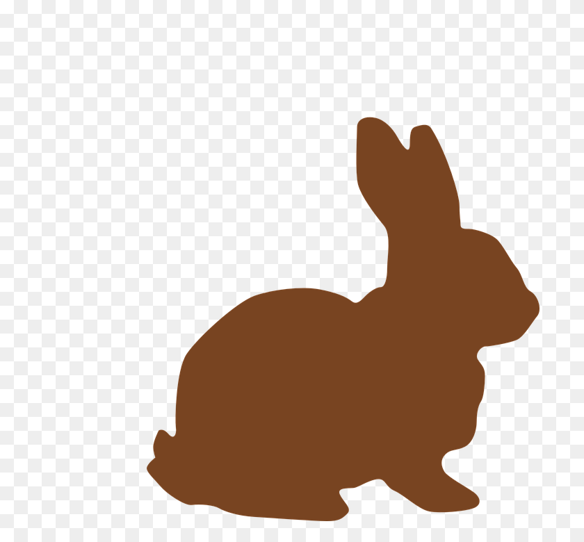 713x720 Profile Clipart Bunny - Bunny Hopping Clipart
