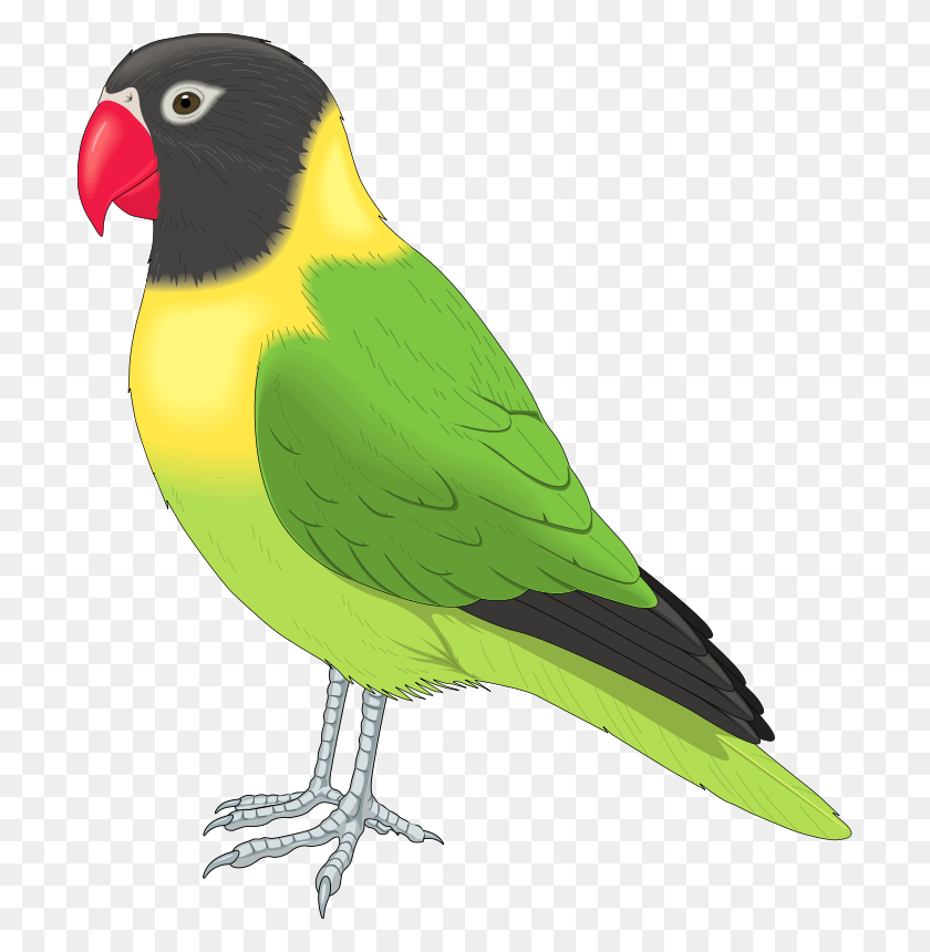 700x800 Profile Of A Bird Clip Art Vector Clip Art Free Vector Free - Parrot Clipart