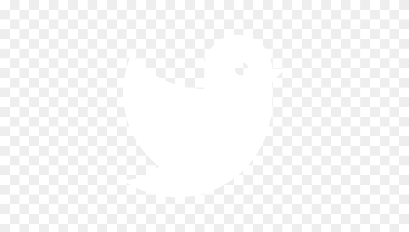 417x417 Программа Мероприятий Бойскаутов Америки - Белый Логотип Twitter Png