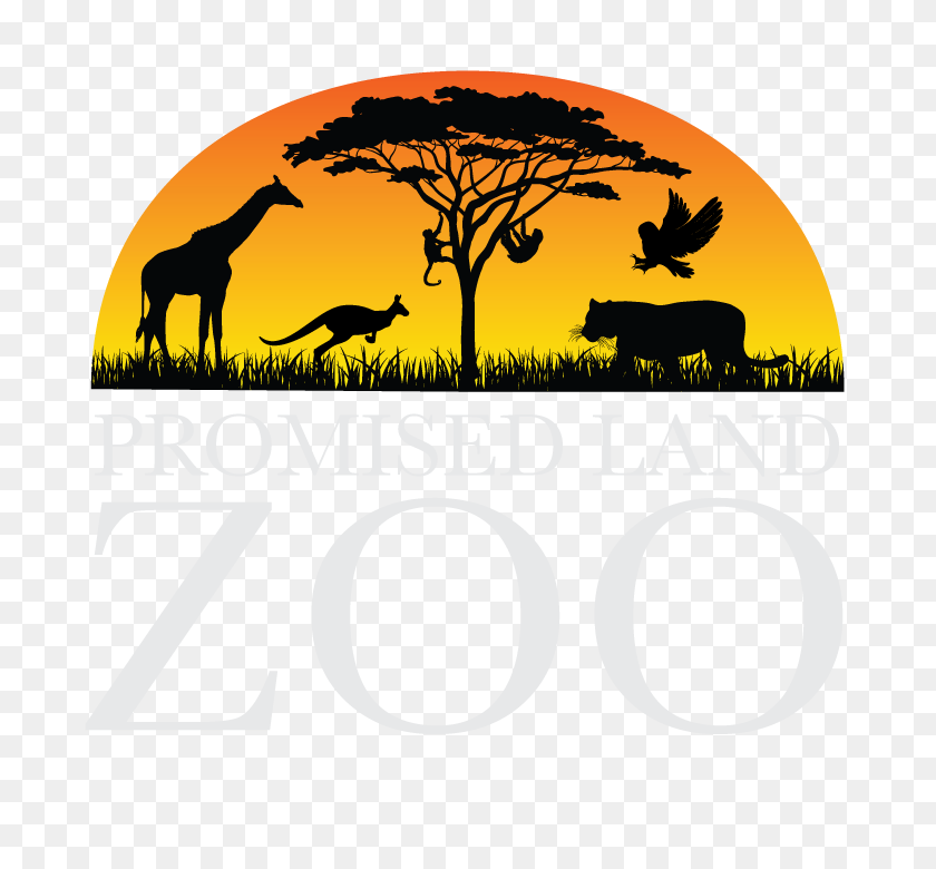 720x720 Zoológicos Terrestres Prometidos: Imágenes Prediseñadas De La Frontera Del Zoológico