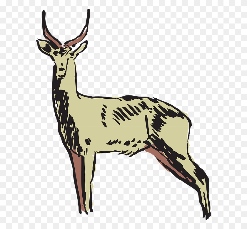 594x720 Pronghorn Antelope Clipart Gazelle - Gazelle Clipart