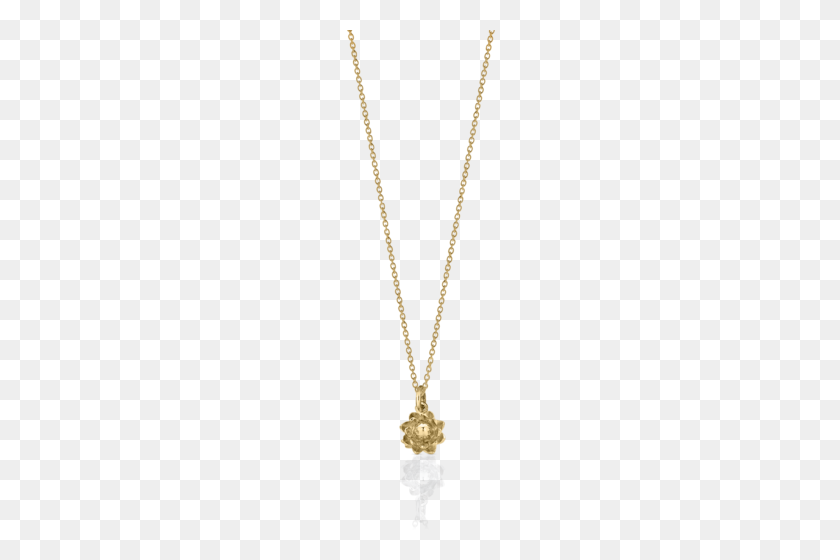 500x500 Protea Charm Necklace Meadowlark Jewellery - Chain Necklace PNG