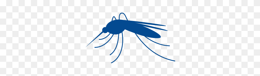300x186 Protect Yourself Against Malaria - Mosquito PNG