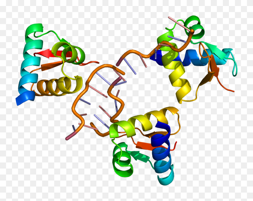 917x715 Proteína Adar Pdb - Proteína Png