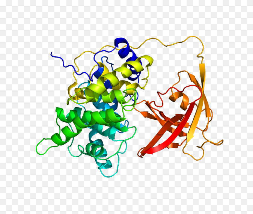 1200x1000 Protein Gif Pdb - Протеин Png