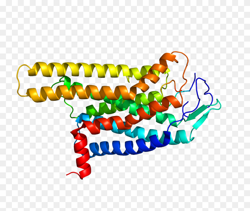 1200x1000 Proteína Pdb - Proteína Png