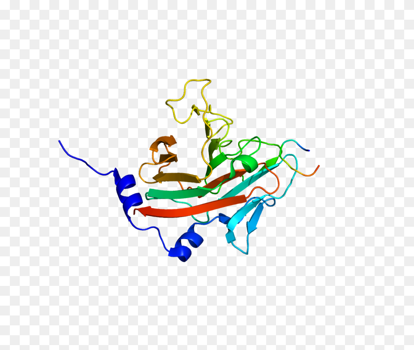 1200x1000 Protein Pdb - Protein PNG