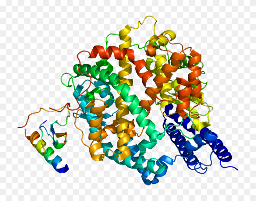 768x600 Protein Pdb - Clipart De Terapeuta Respiratorio