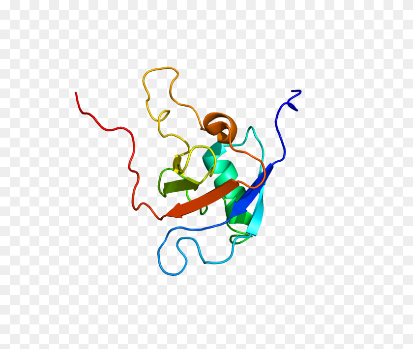 1200x1000 Protein Pdb - Fish Jumping Out Of Water PNG