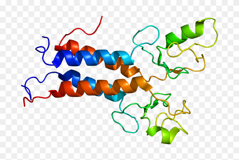 744x504 La Proteína Análisis De Modificación Posterior A La Traducción Del Blog De Tebu Bio - Proteína Png