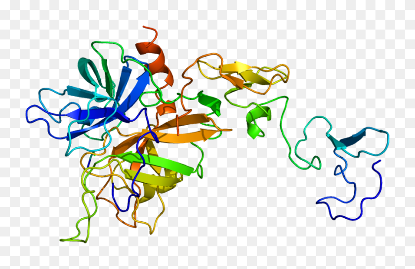 897x560 Protein Proc Pdb - Протеин Png