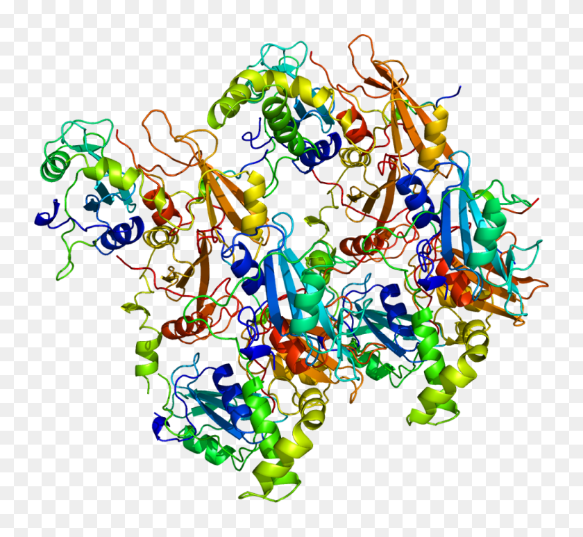 1015x928 Proteína Syk Pdb - Proteína Png