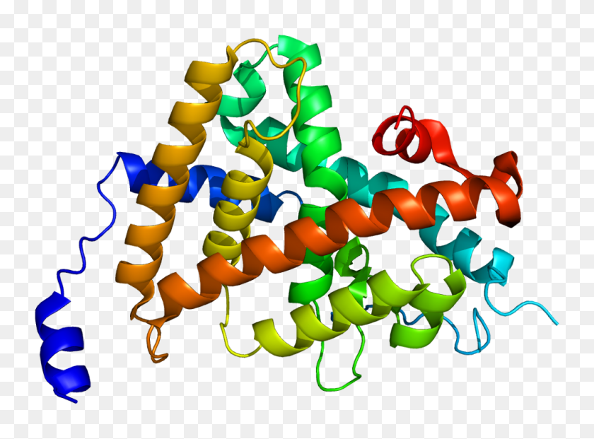1003x722 Protein Thra Pdb - Protein PNG
